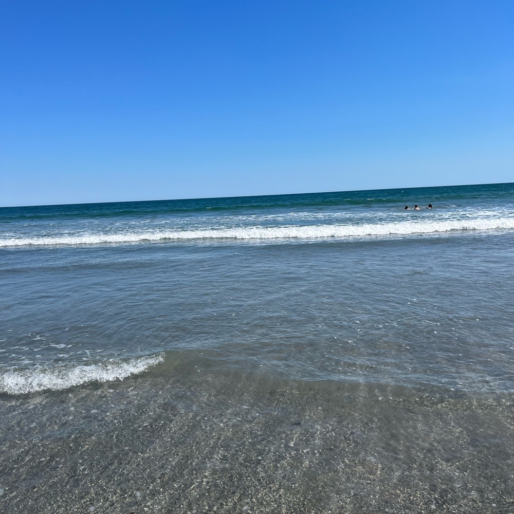 Meet your Posher, Fiona